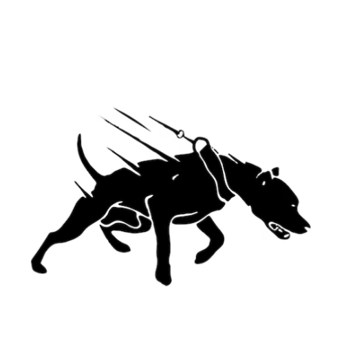 bullsports